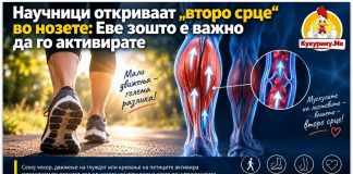 Научници откриваат „второ срце“ во нозете ! Еве зошто е важно да го активирате
