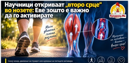 Научници откриваат „второ срце“ во нозете ! Еве зошто е важно да го активирате