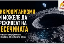 Научниците открија нешто неочекувано на Месечината ! Микроорганизми би можеле да преживеат во нејзините сенки