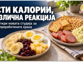Исти калории, различна реакција ! Што откри нова студија за ултрапреработената храна