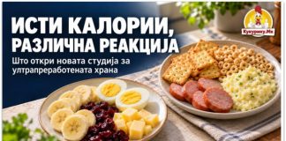 Исти калории, различна реакција ! Што откри нова студија за ултрапреработената храна