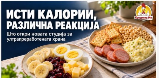 Исти калории, различна реакција ! Што откри нова студија за ултрапреработената храна