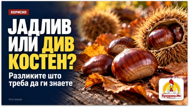 Јадлив или див костен