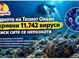 На дното на Тихиот Океан откриени 11.742 вируси – речиси сите се целосно непознати ! Видео