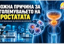 Откриени клетки што можеби придонесуваат за зголемување на простатата