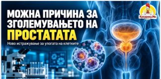 Откриени клетки што можеби придонесуваат за зголемување на простатата